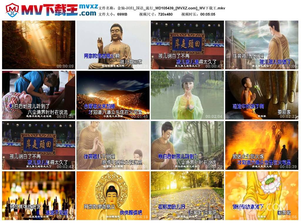 金灿-回归_国语_流行_MD105439